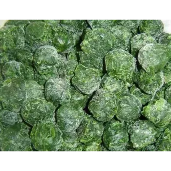 Frozen Spina ch (11)-1897009-89922.webp
